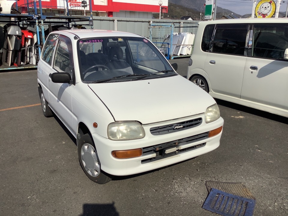 ミツバ まとめ売り バラ売り可 cc_8_s.jpg?v=20240919123624