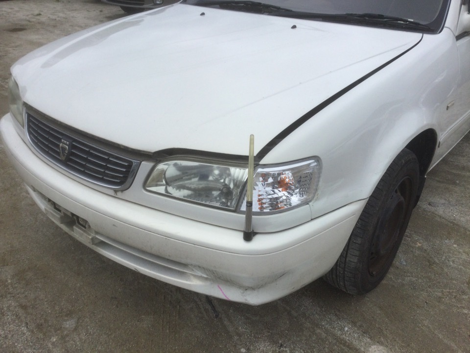 GAPRAS トヨタ カローラ - 商品詳細 - SP299522