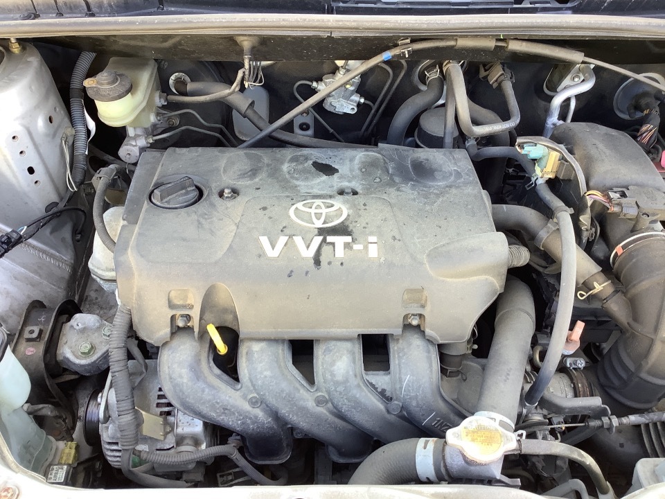 GAPRAS トヨタ プラッツ - 商品詳細 - SP312485