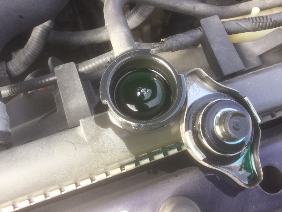 GAPRAS ホンダ オデッセイ - 商品詳細 - SP314489