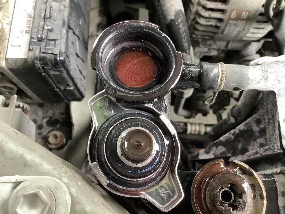 GAPRAS トヨタ カローラ - 商品詳細 - SP317394