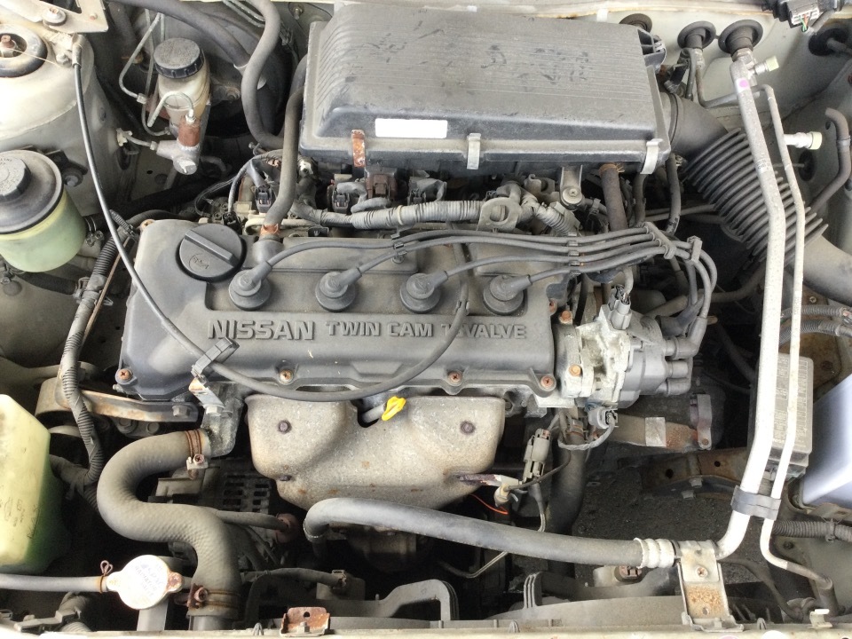 GAPRAS 日産 サニー - 商品詳細 - SP323436