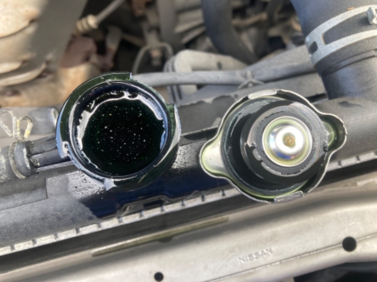 GAPRAS 日産 ウイングロード - 商品詳細 - SP336194