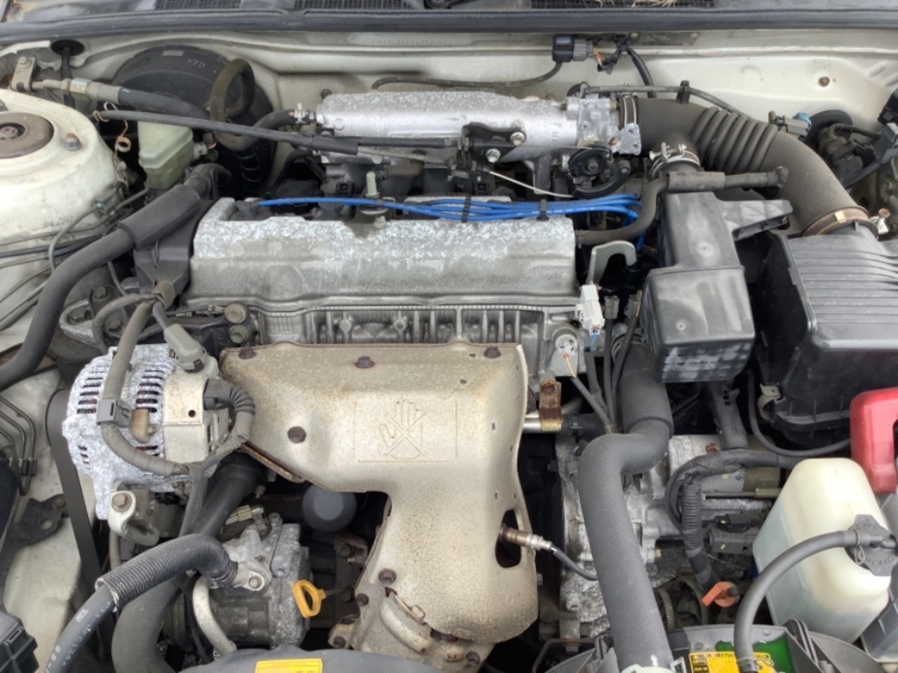 GAPRAS TOYOTA Vista - Product detail - SP338019