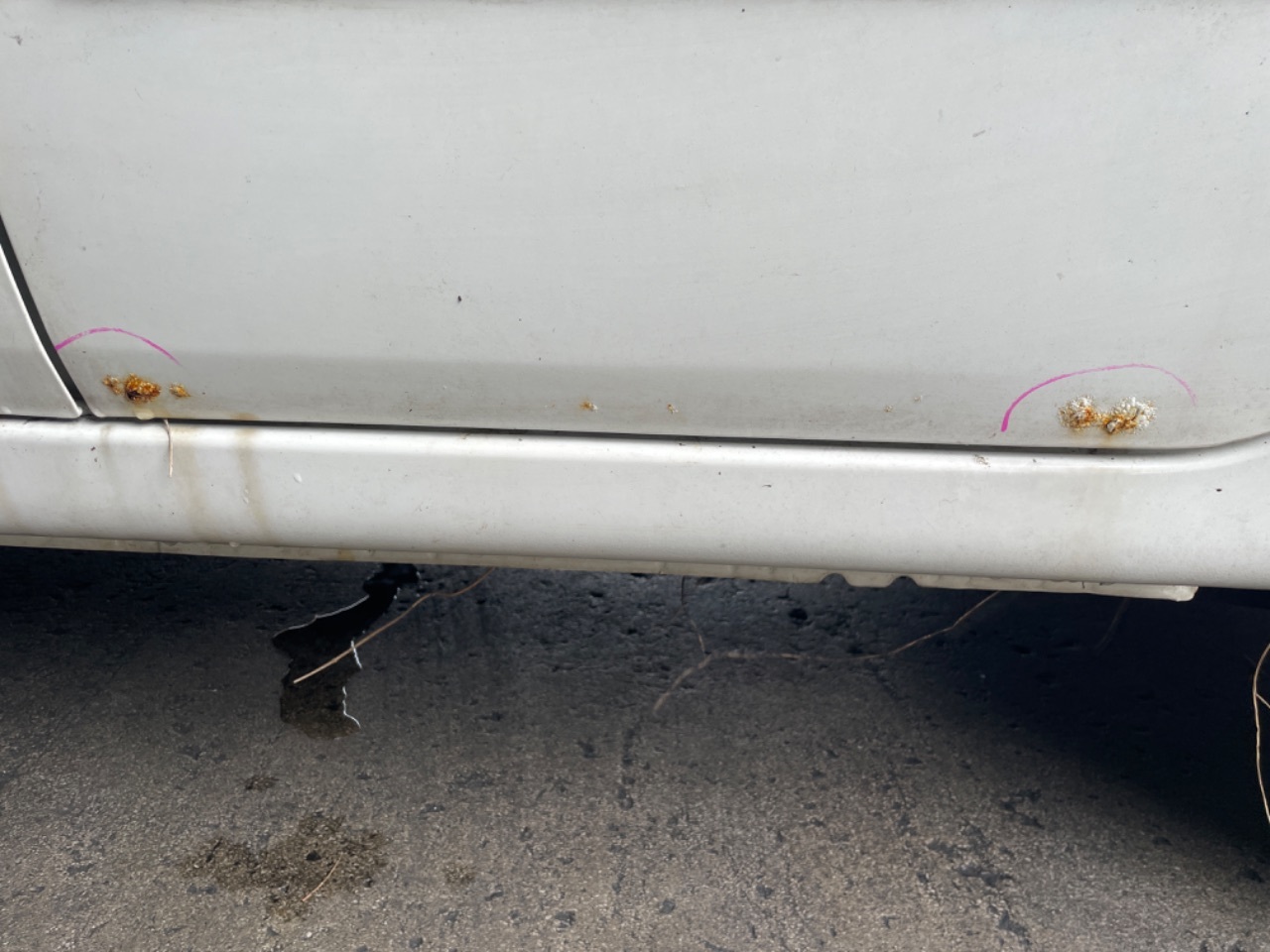 GAPRAS 日産 マーチ - 商品詳細 - SP338111