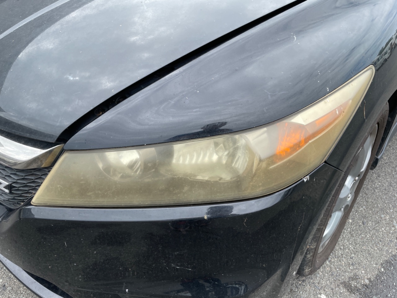 GAPRAS ホンダ ストリーム - 商品詳細 - SP339953