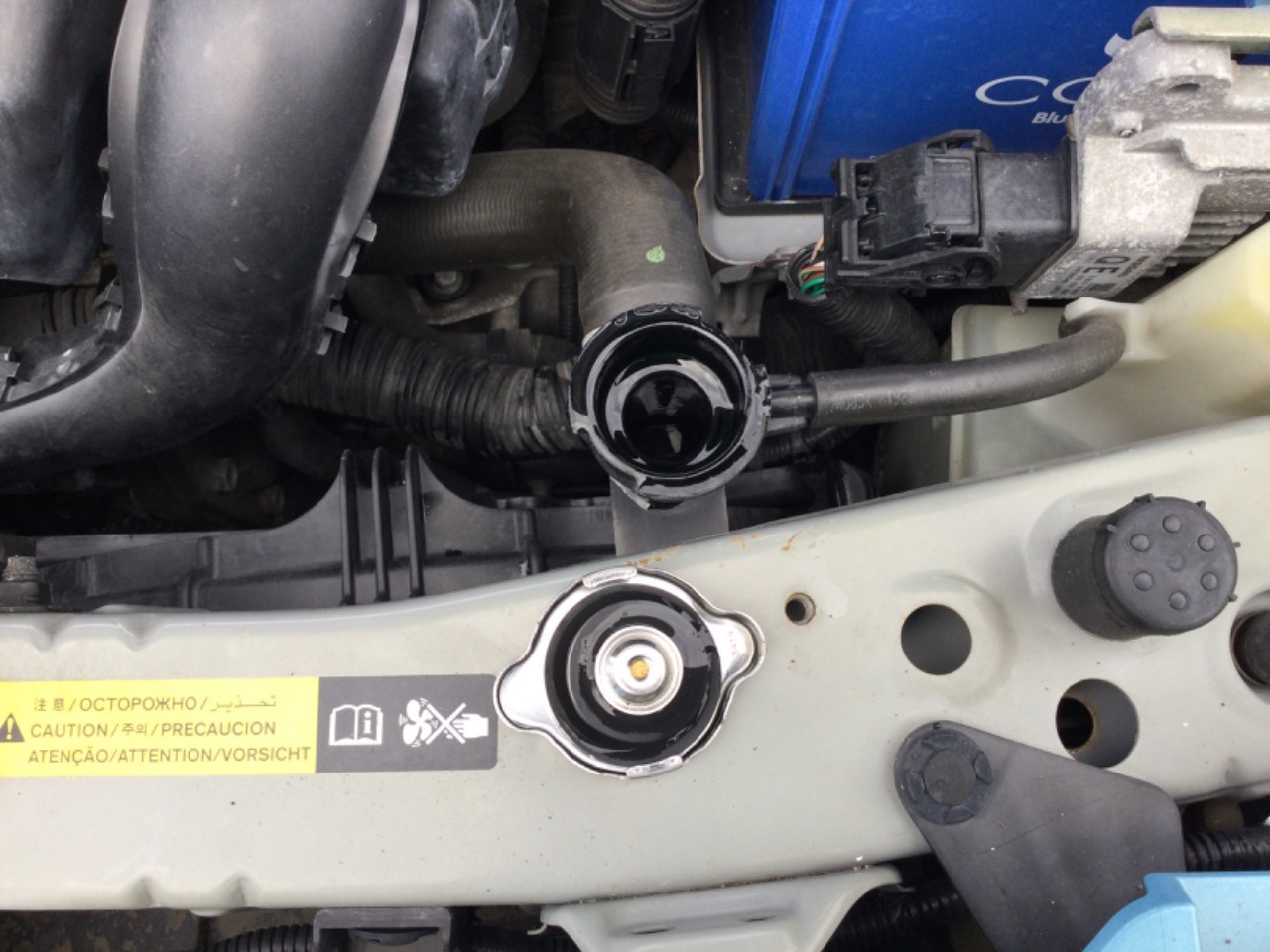 GAPRAS 日産 ノート - 商品詳細 - SP340749