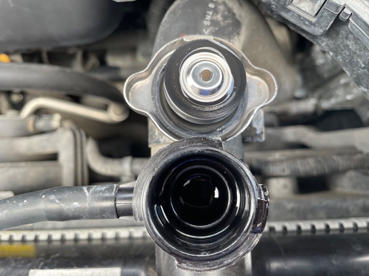 GAPRAS 日産 セレナ - 商品詳細 - SP340965