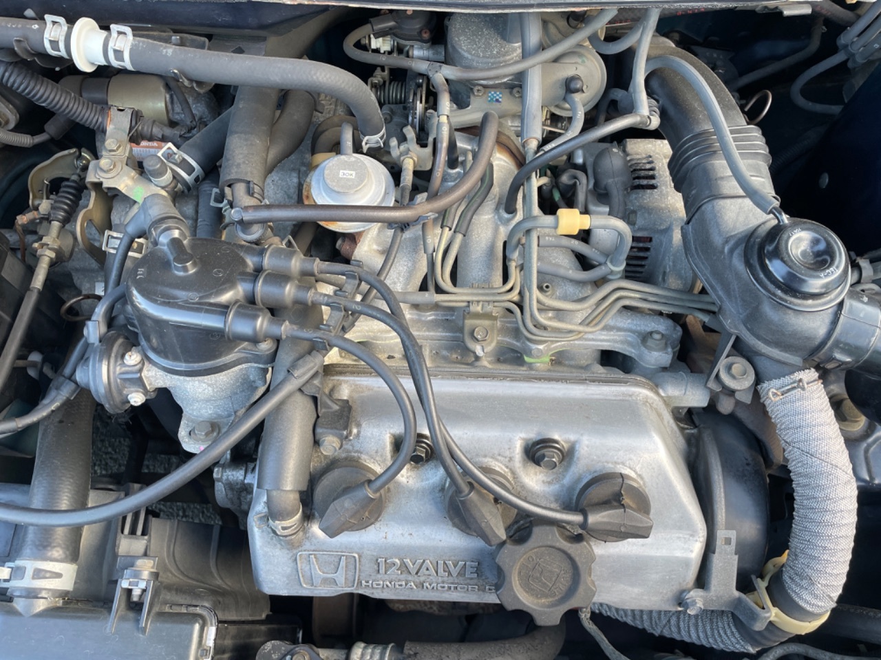 GAPRAS ホンダ トゥデイ - 商品詳細 - SP342491