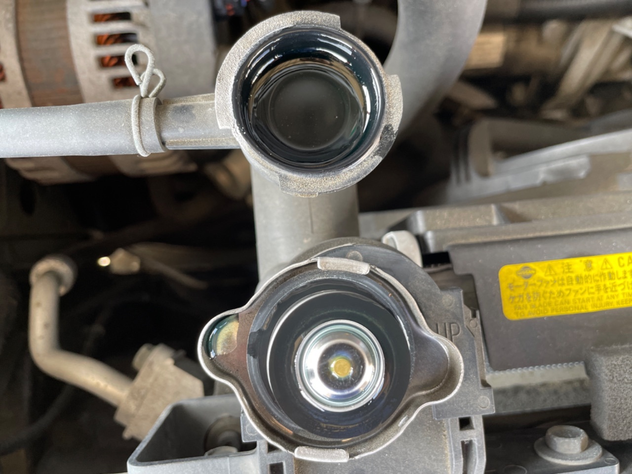 GAPRAS 日産 ラフェスタ - 商品詳細 - SP343152