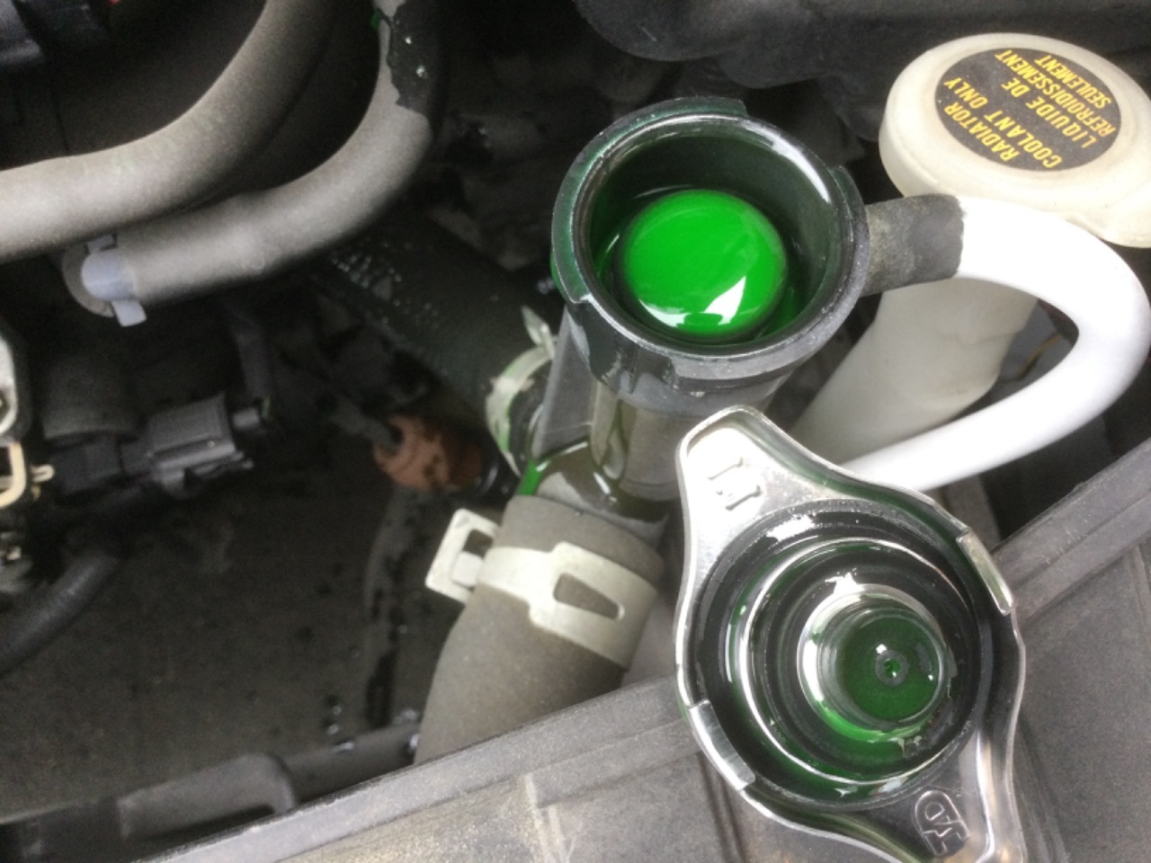 GAPRAS MAZDA Demio - Product detail - SP343293