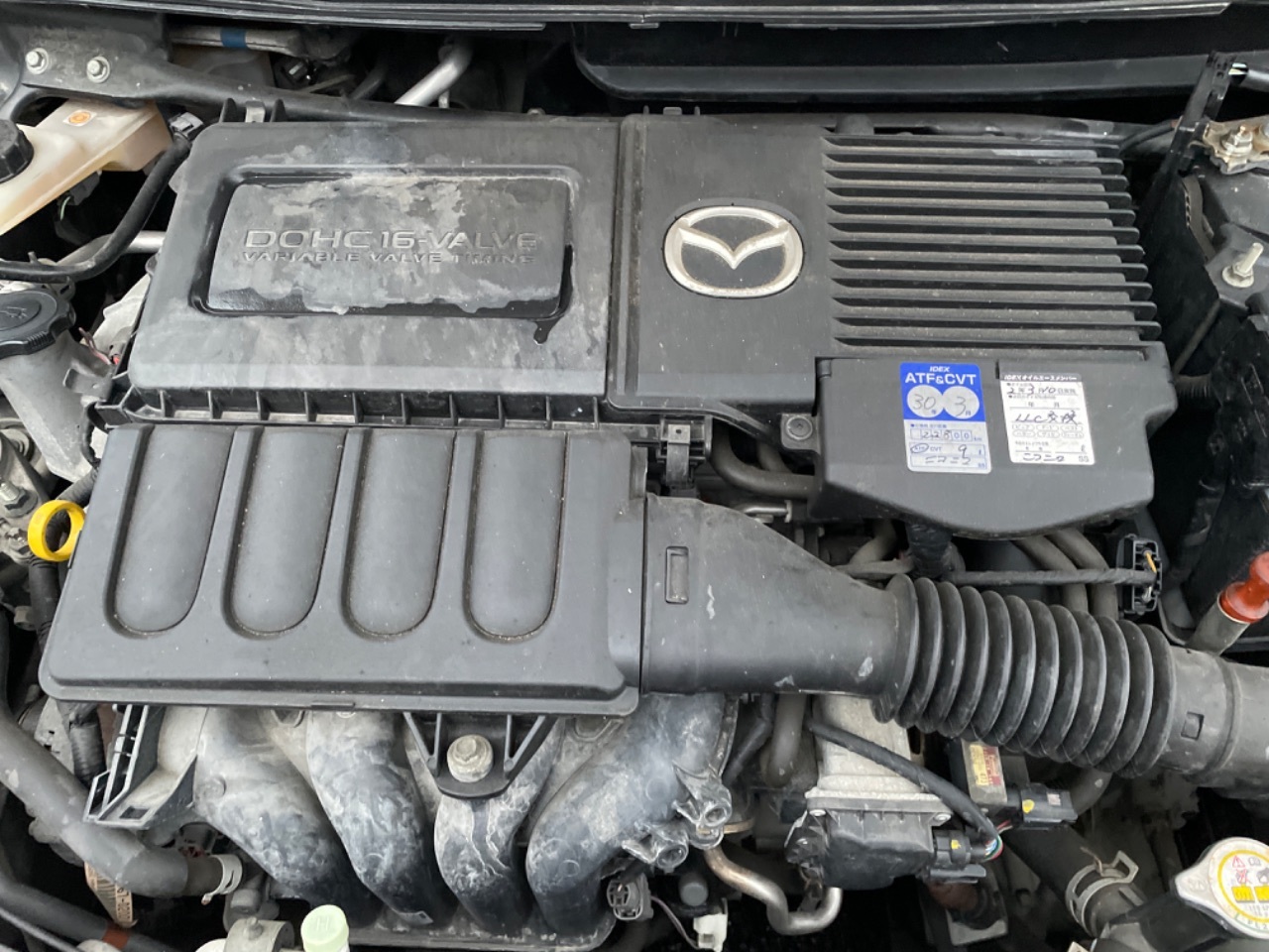 GAPRAS マツダ ベリーサ - 商品詳細 - SP343359