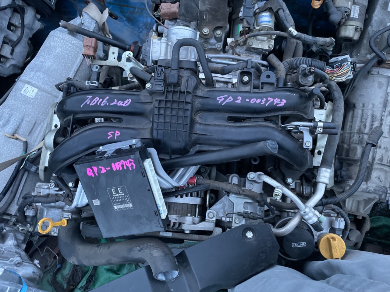 E/G CP HARNESS - Special car others Ref:SP343411_296 1/7