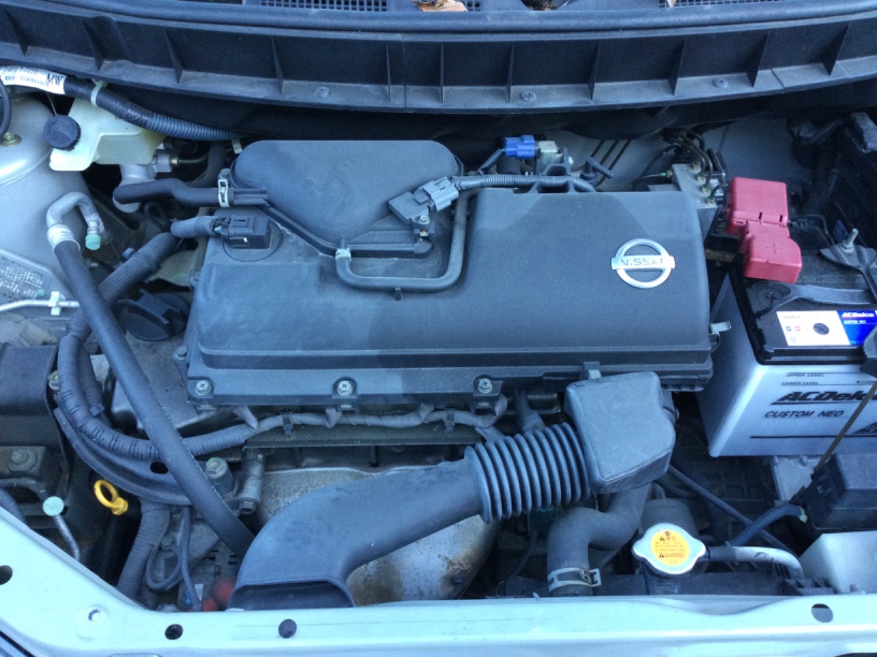 GAPRAS 日産 キューブ - 商品詳細 - SP344037