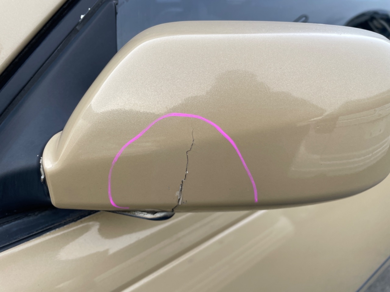 GAPRAS 日産 シーマ - 商品詳細 - SP344882