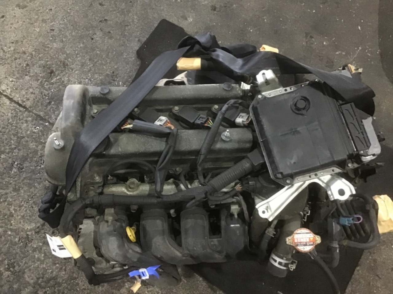 GAPRAS エンジン CPハーネス付 - ラクティス - 商品詳細 - SP345952_296