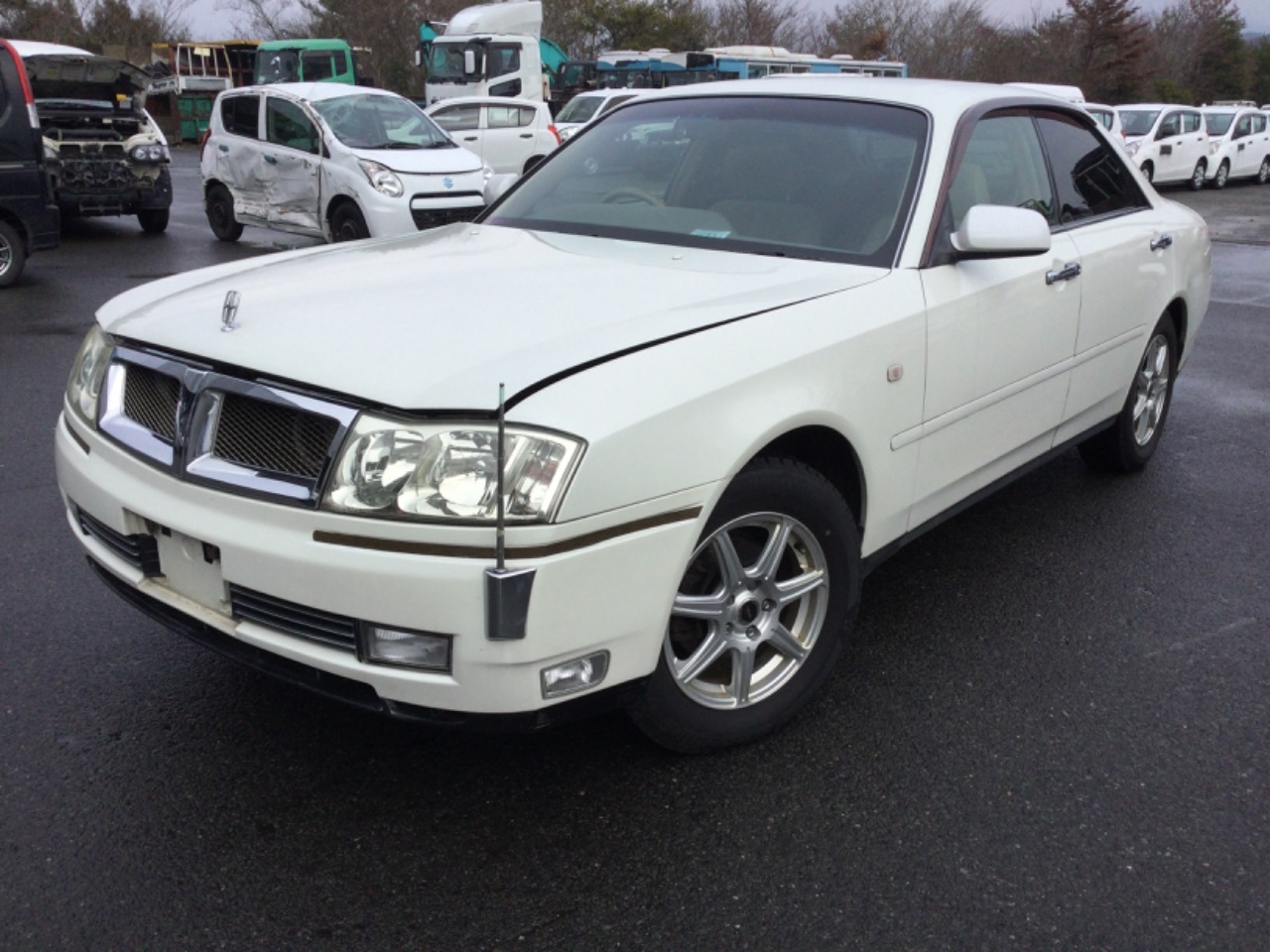 GAPRAS 日産 セドリック - 商品詳細 - SP346717