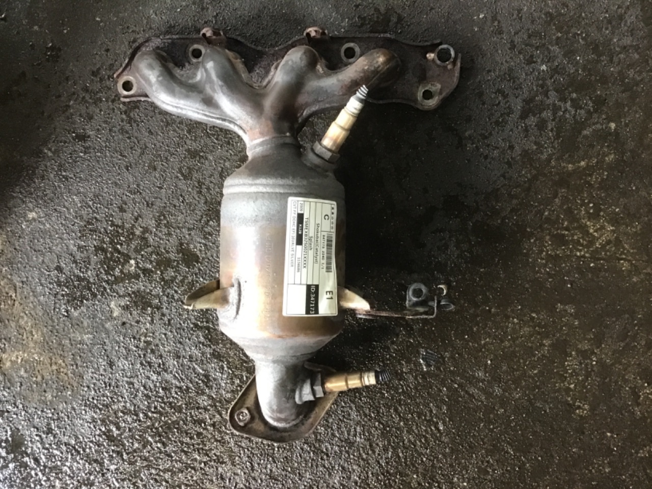 GAPRAS 触媒 ショクバイ - スプラッシュ - 商品詳細 - SP347173_2240