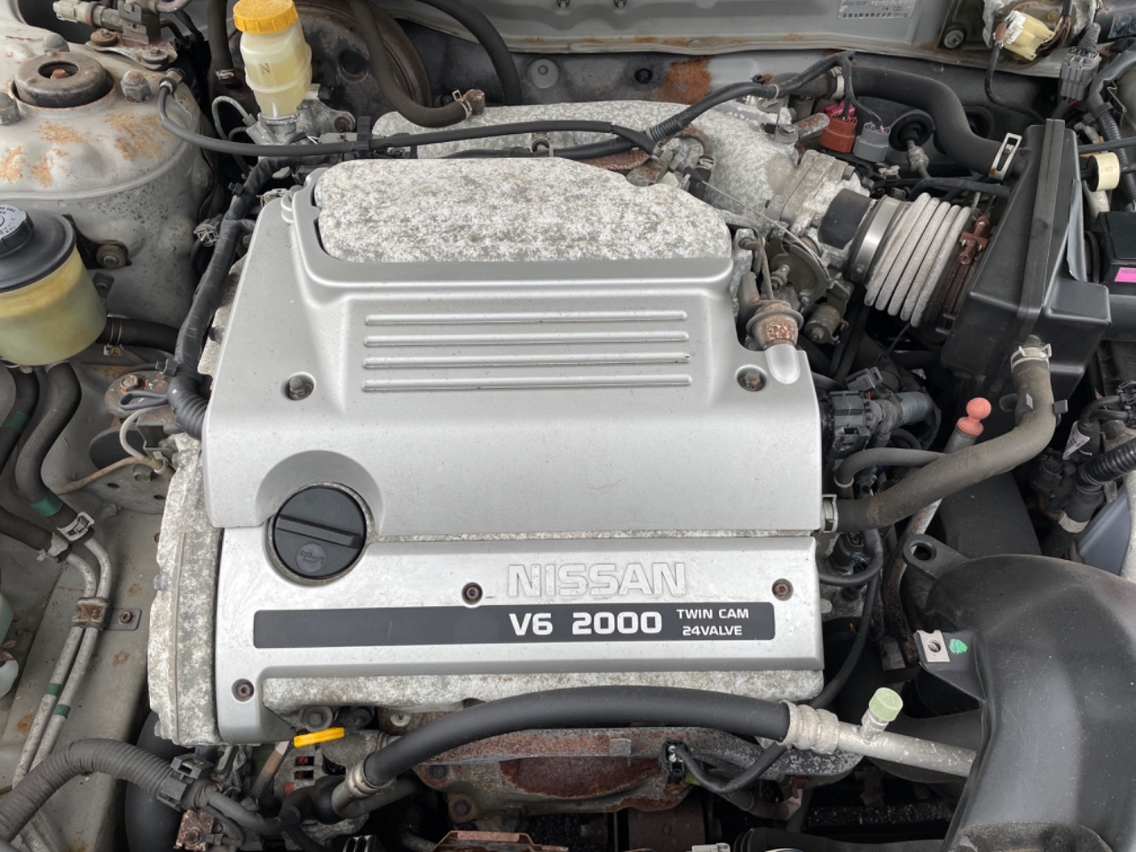 2026年最新Yahoo!オークション 日産 価格.com セフィーロの中古車 
