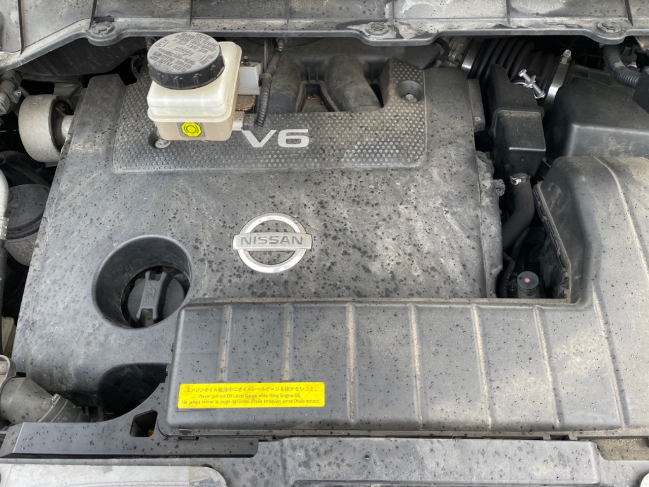 日産　エルグランド GAPRAS 日産 エルグランド - 商品詳細 - SP347582