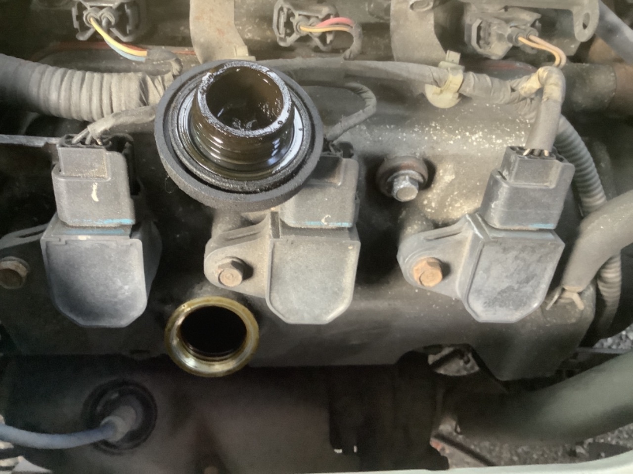 GAPRAS ホンダ バモス - 商品詳細 - SP347776