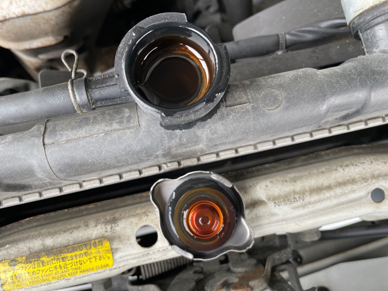 GAPRAS 日産 サニー - 商品詳細 - SP347961