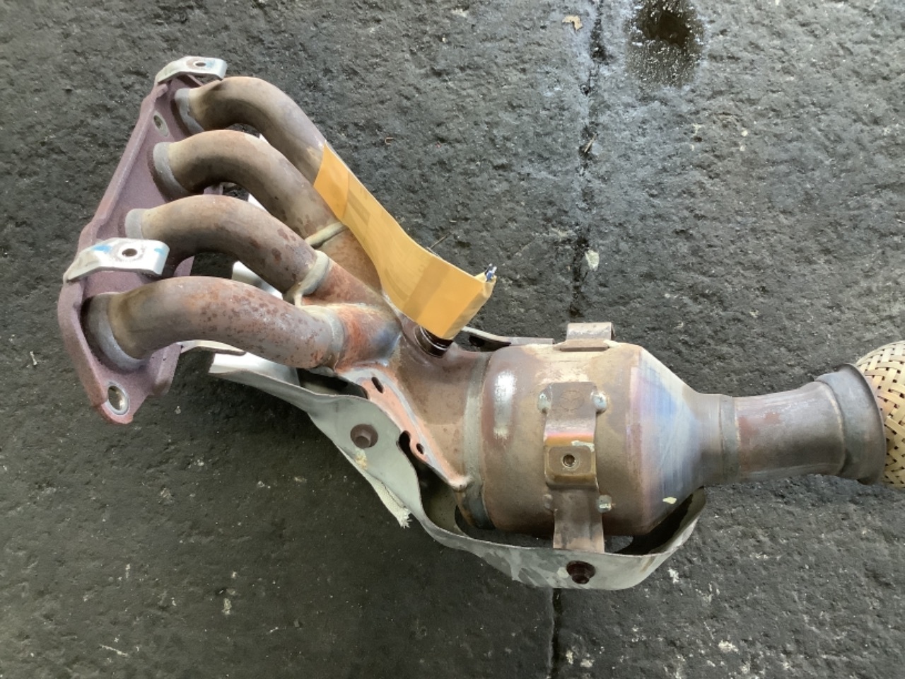 GAPRAS 触媒No1 - アクセラ - 商品詳細 - SP348359_9601