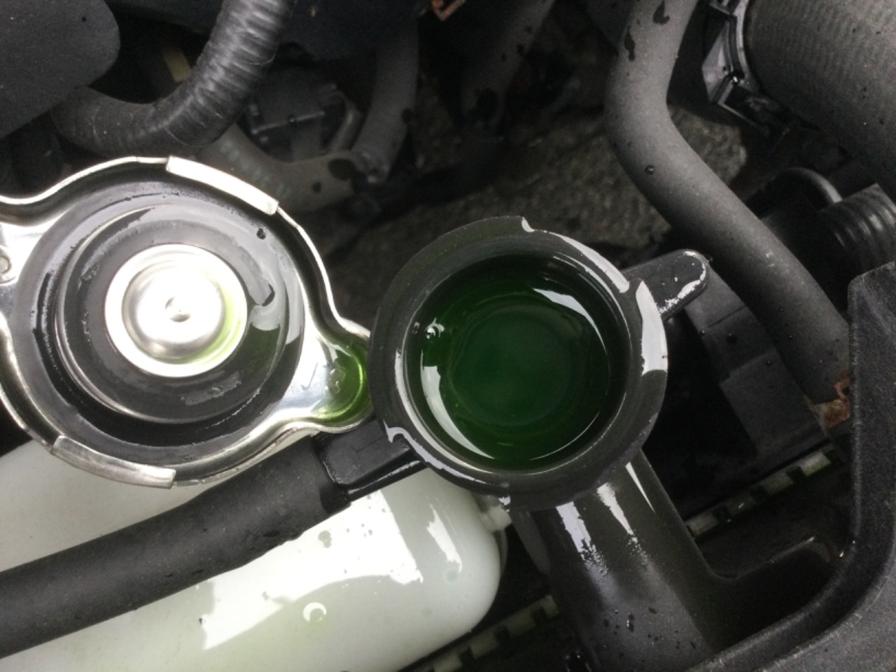 GAPRAS マツダ アテンザスポーツワゴン - 商品詳細 - SP348360