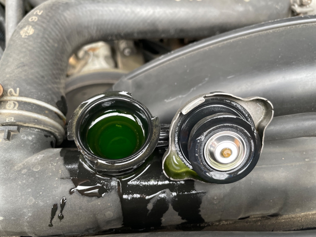 GAPRAS 日産 エルグランド - 商品詳細 - SP348646