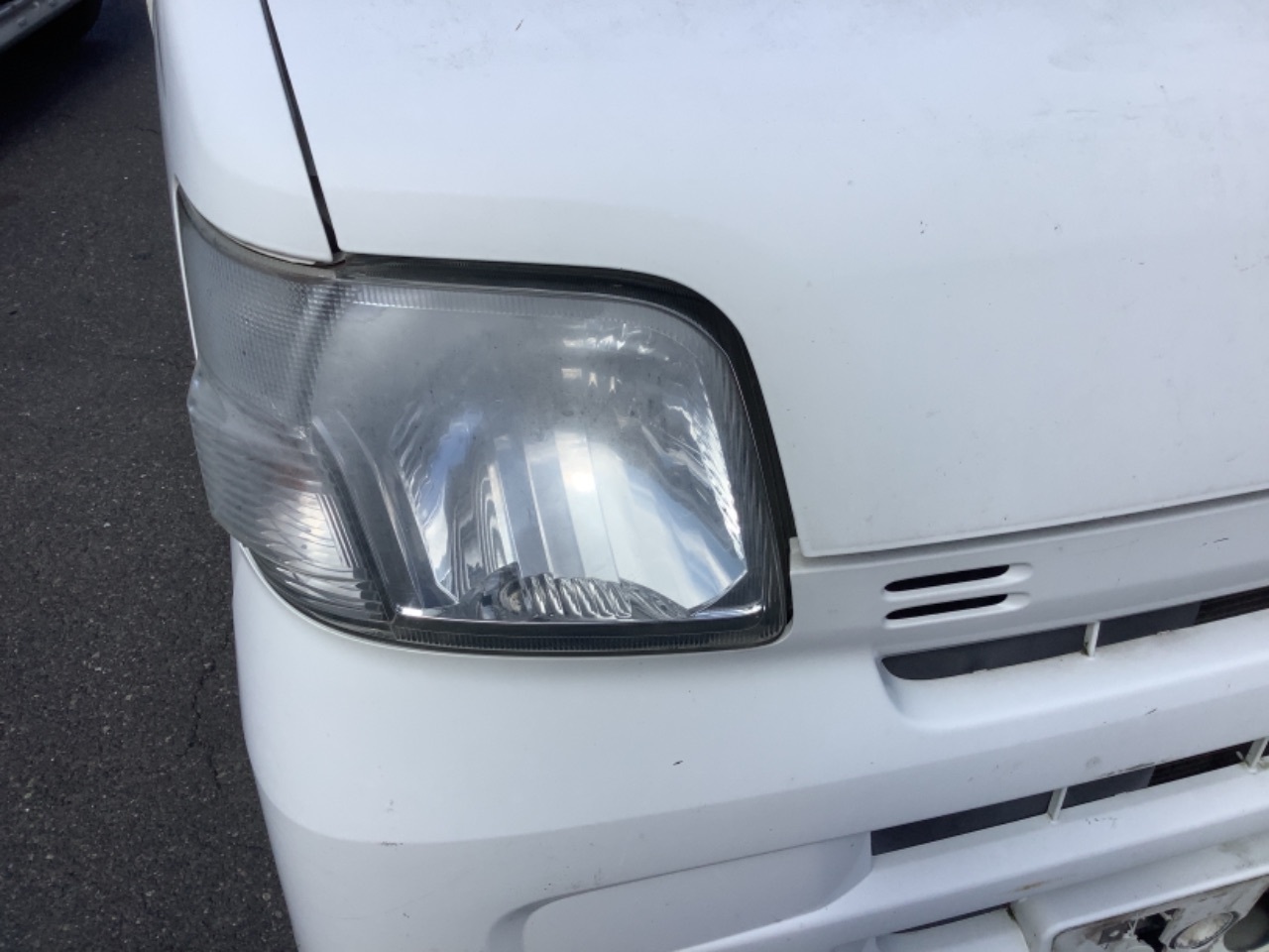 ハコガメ マッコードハコガメ ♂ 後天的尾曲 B個体 10.3mm 繁殖使えるB