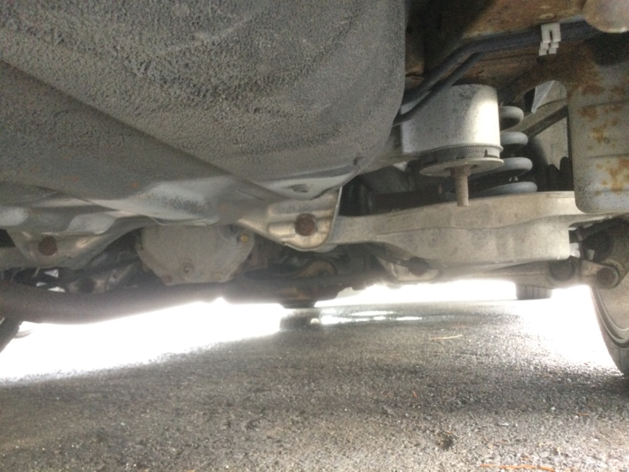 GAPRAS 日産 ステージア - 商品詳細 - SP349508