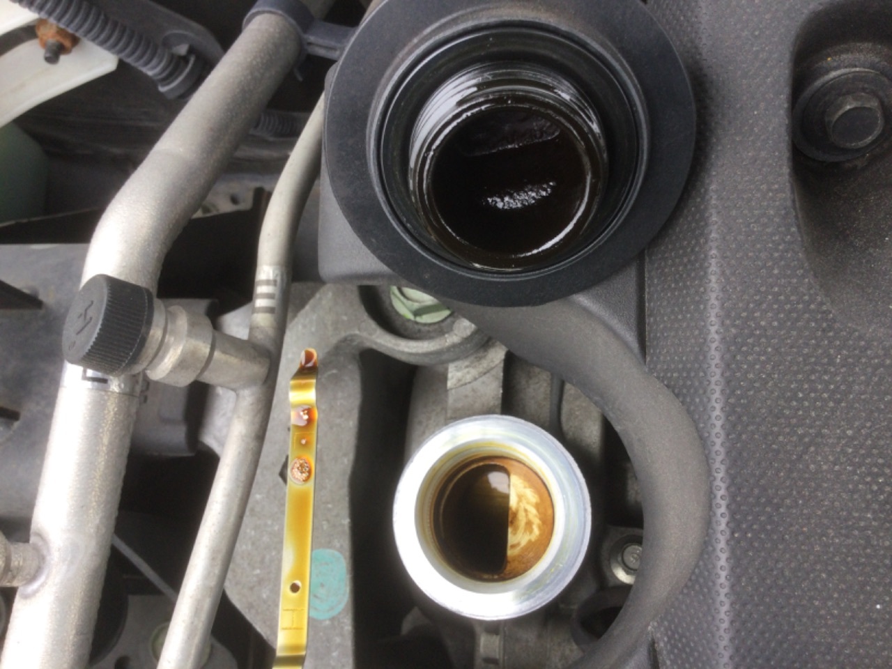 GAPRAS 日産 ラフェスタ - 商品詳細 - SP350036