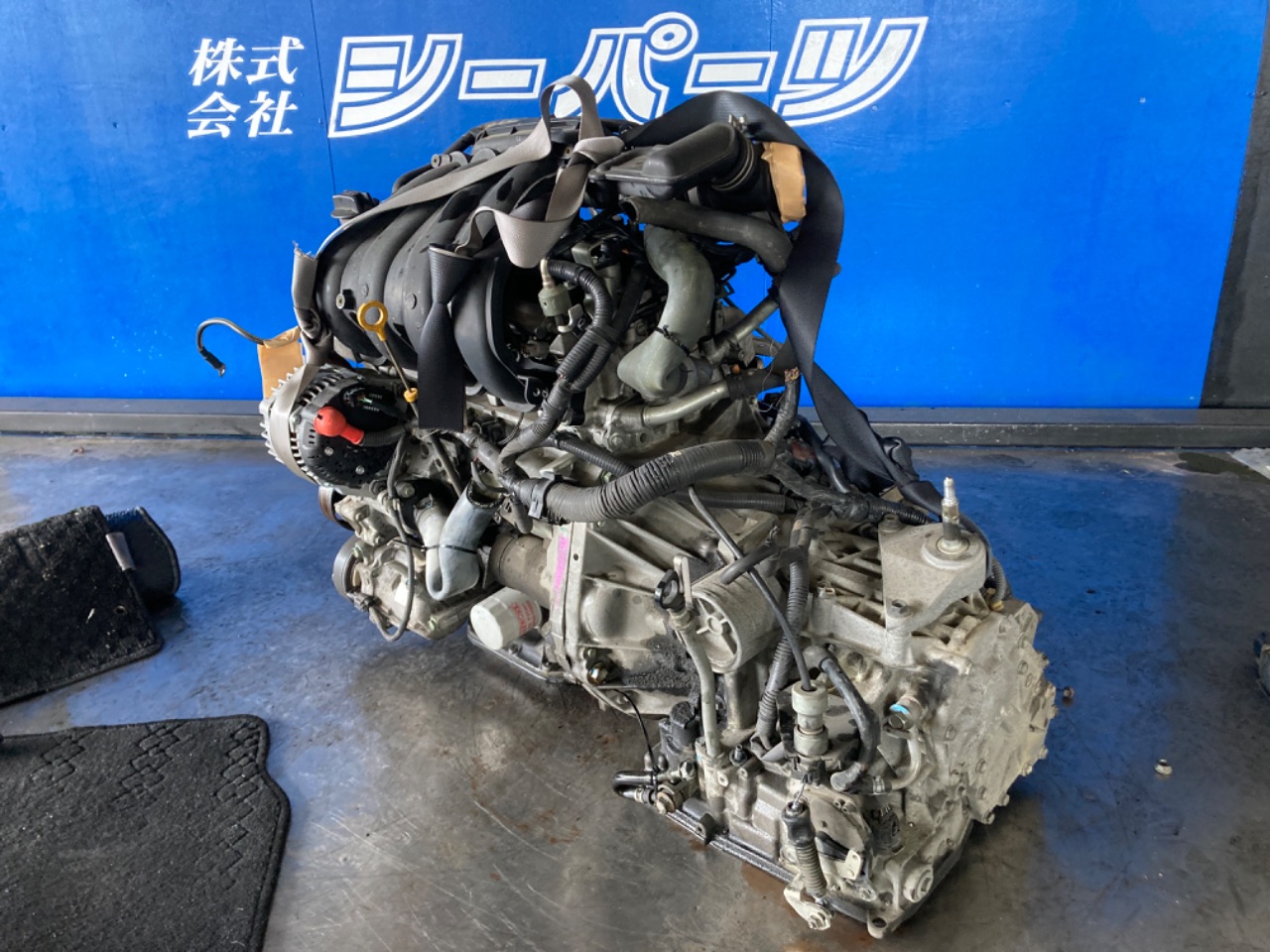 GAPRAS 日産 ADエキスパート - 商品詳細 - SP351226