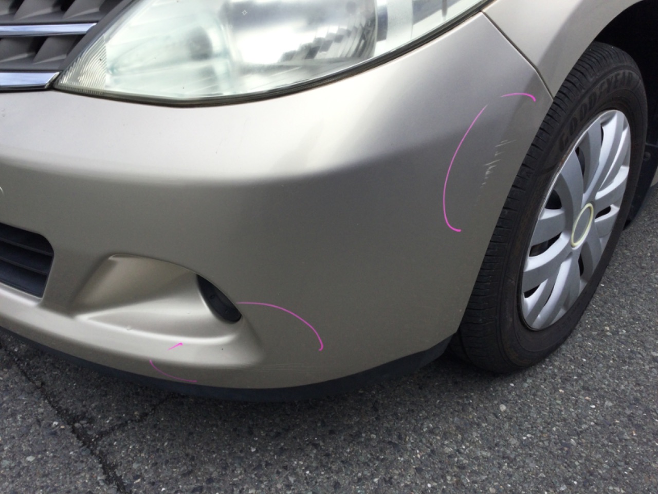 GAPRAS 日産 ティーダラティオ - 商品詳細 - SP356658