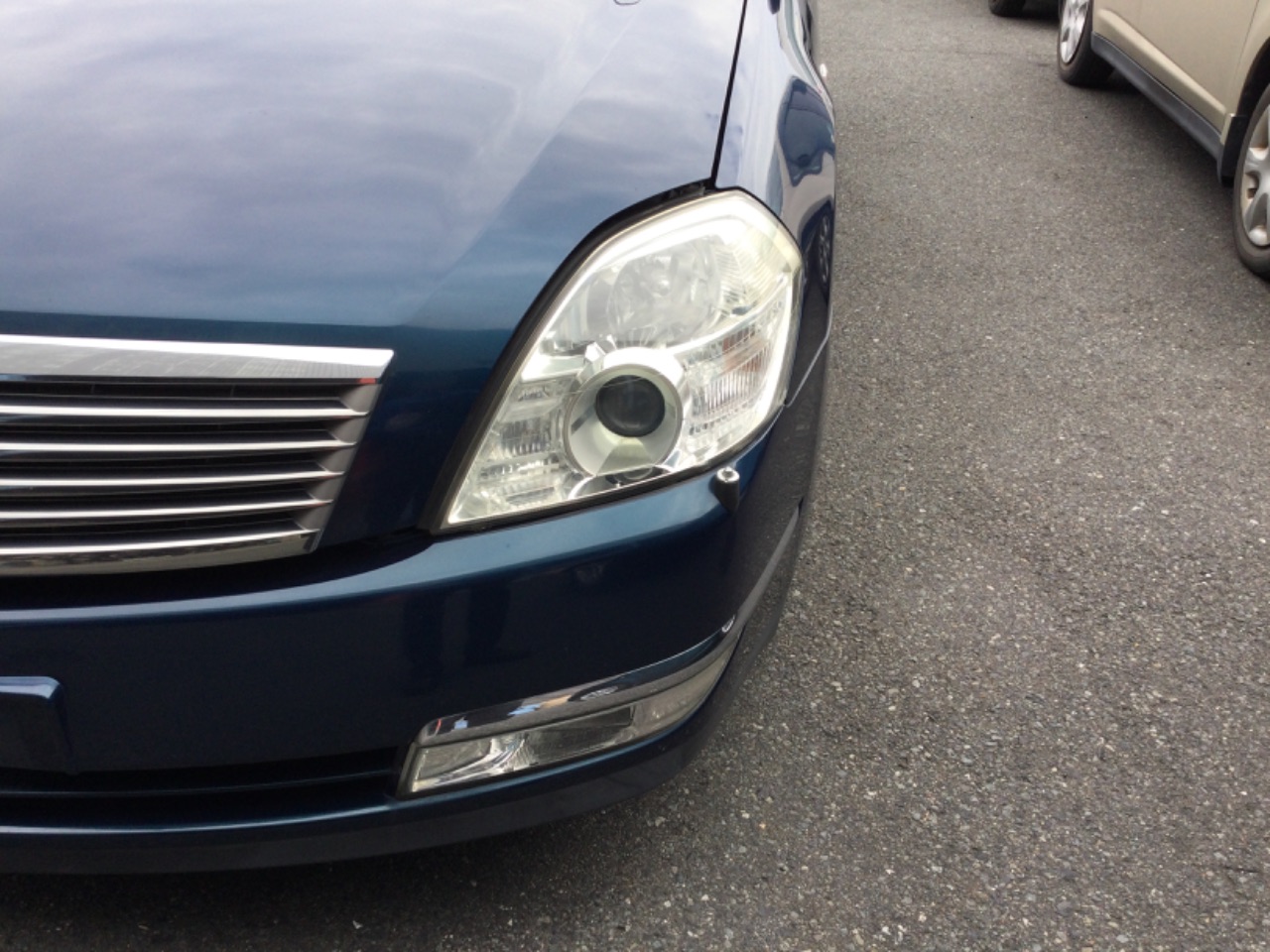 GAPRAS 日産 ティアナ - 商品詳細 - SP356661