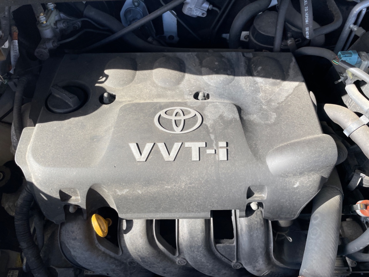 GAPRAS トヨタ ポルテ - 商品詳細 - SP357059