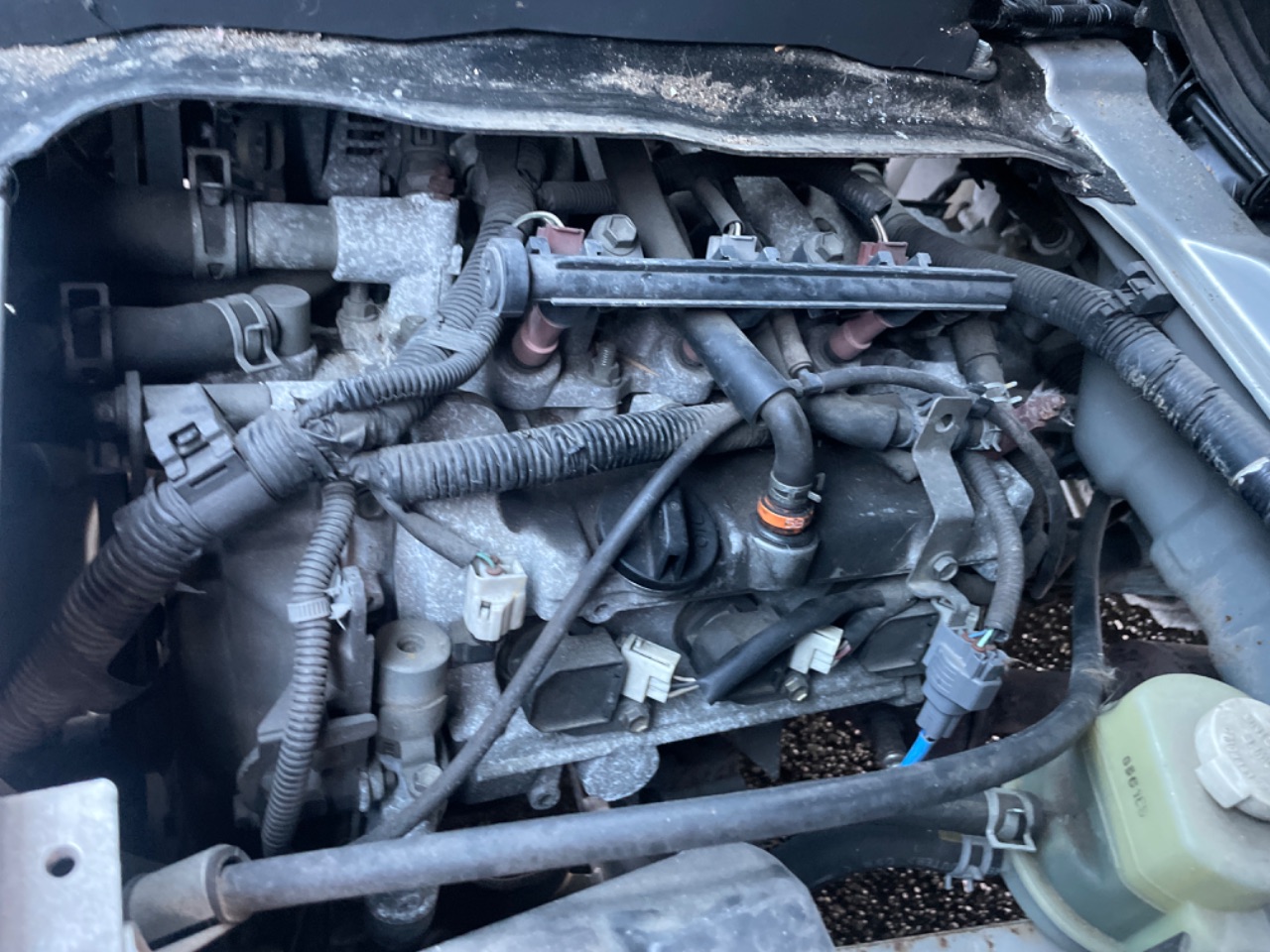 GAPRAS ダイハツ ハイゼットトラック - 商品詳細 - SP357778