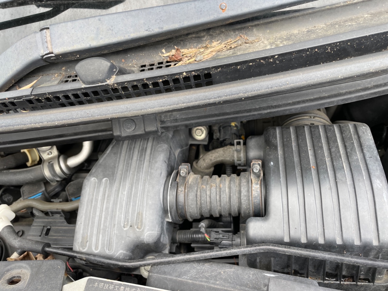 GAPRAS ホンダ ゼスト - 商品詳細 - SP358652