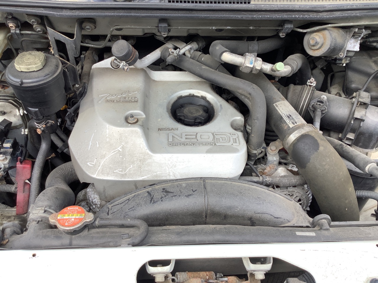 GAPRAS 日産 エルグランド - 商品詳細 - SP364079