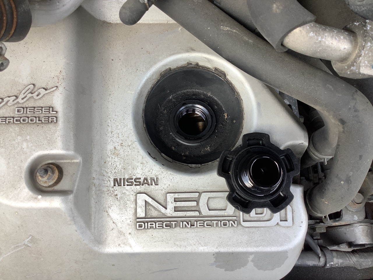 GAPRAS 日産 エルグランド - 商品詳細 - SP364079