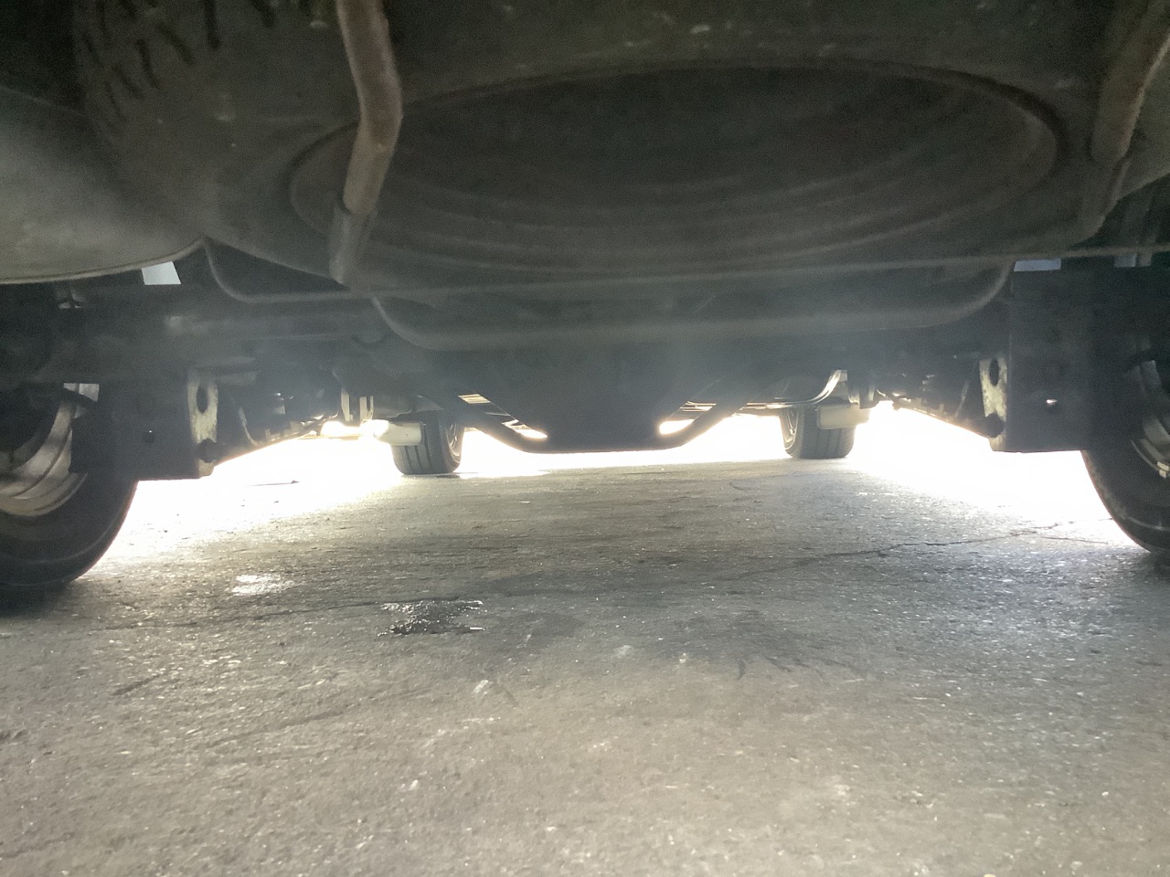 GAPRAS 日産 エルグランド - 商品詳細 - SP367353