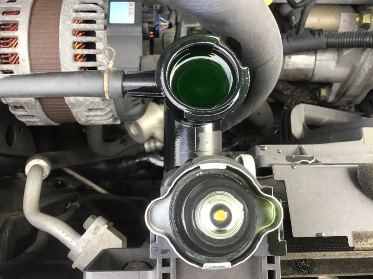GAPRAS 日産 ラフェスタ - 商品詳細 - SP367375