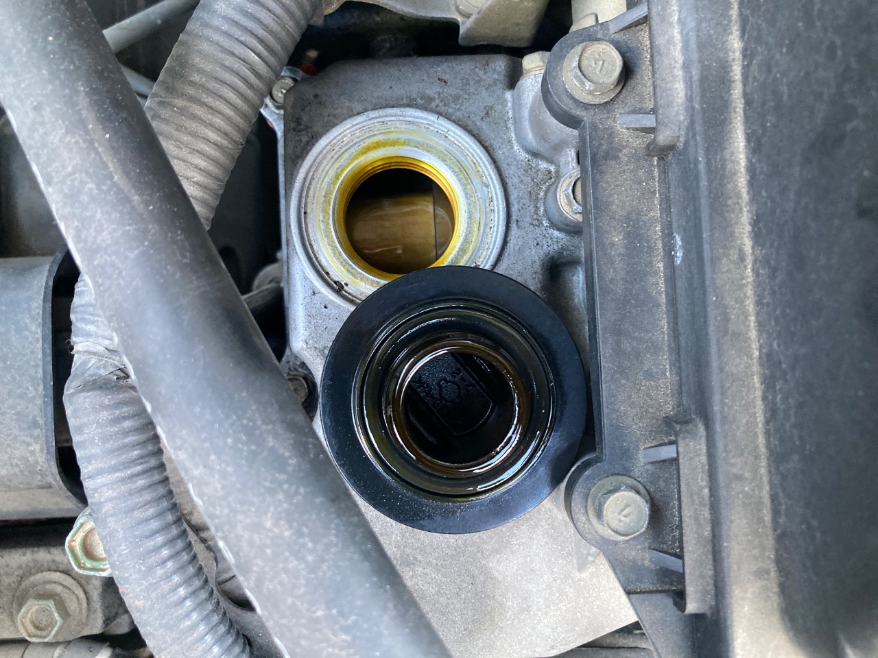 GAPRAS 日産 キューブ - 商品詳細 - SP369225