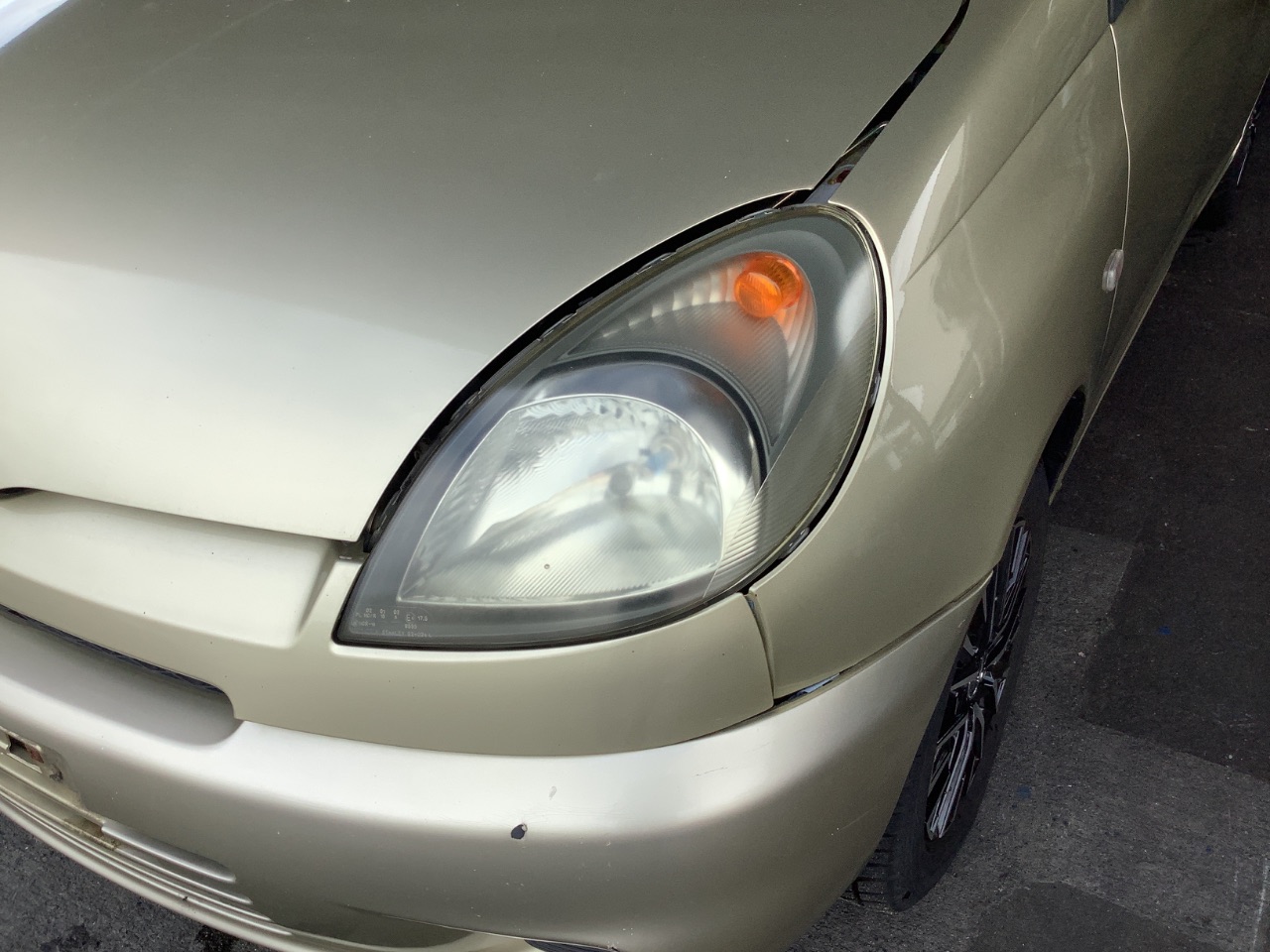 GAPRAS トヨタ ファンカーゴ - 商品詳細 - SP369529
