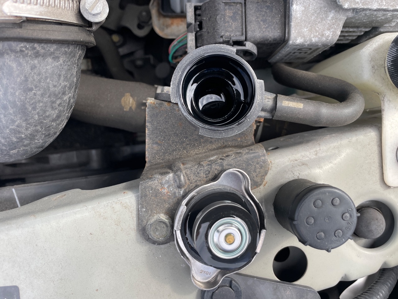 Naoratページ STAFF STYLING｜THE SHOP YOHJI YAMAMOTO