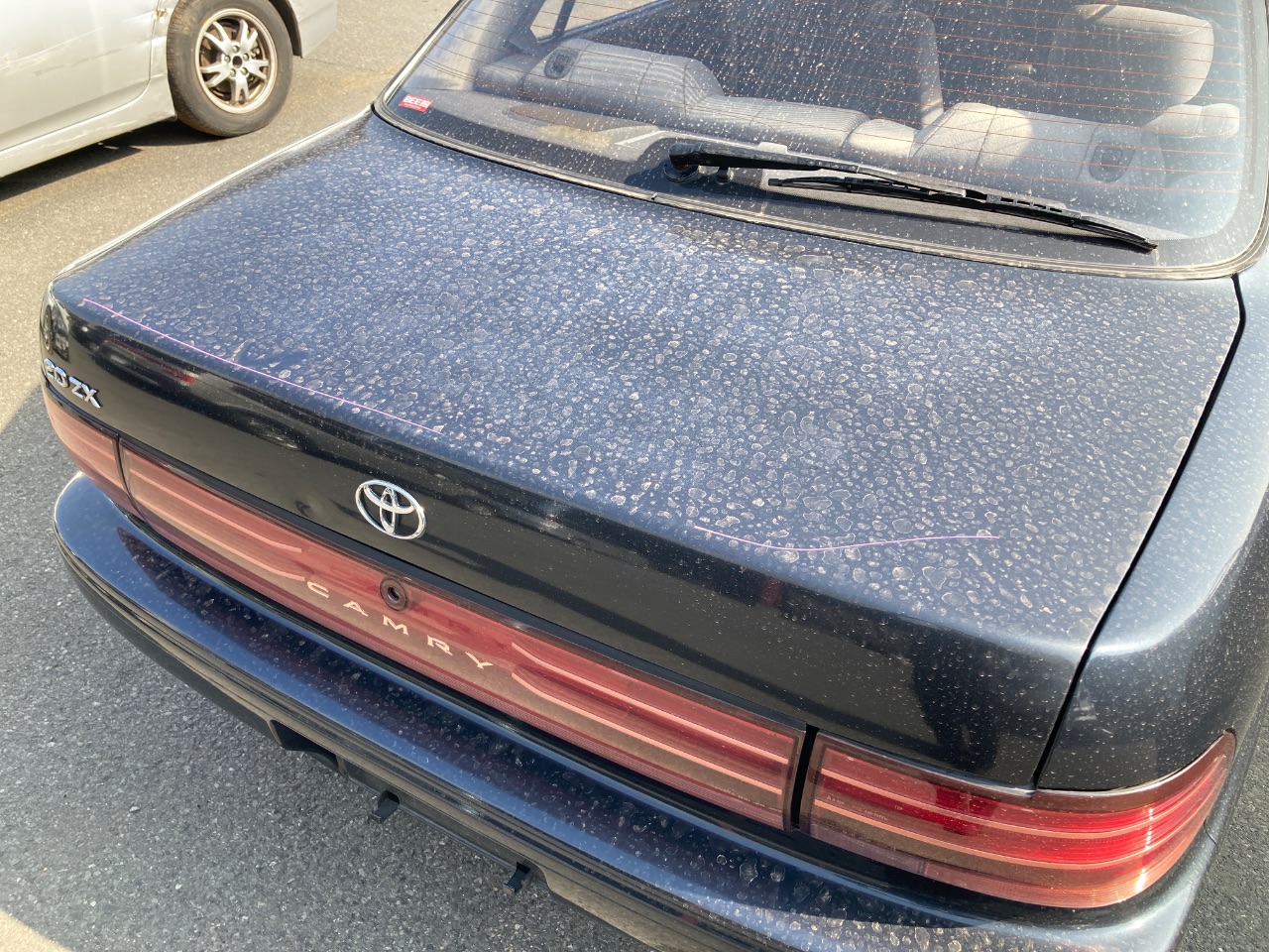 GAPRAS トヨタ カムリ - 商品詳細 - SP378877