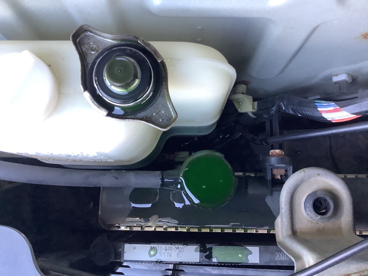 GAPRAS ホンダ バモス - 商品詳細 - SP379063