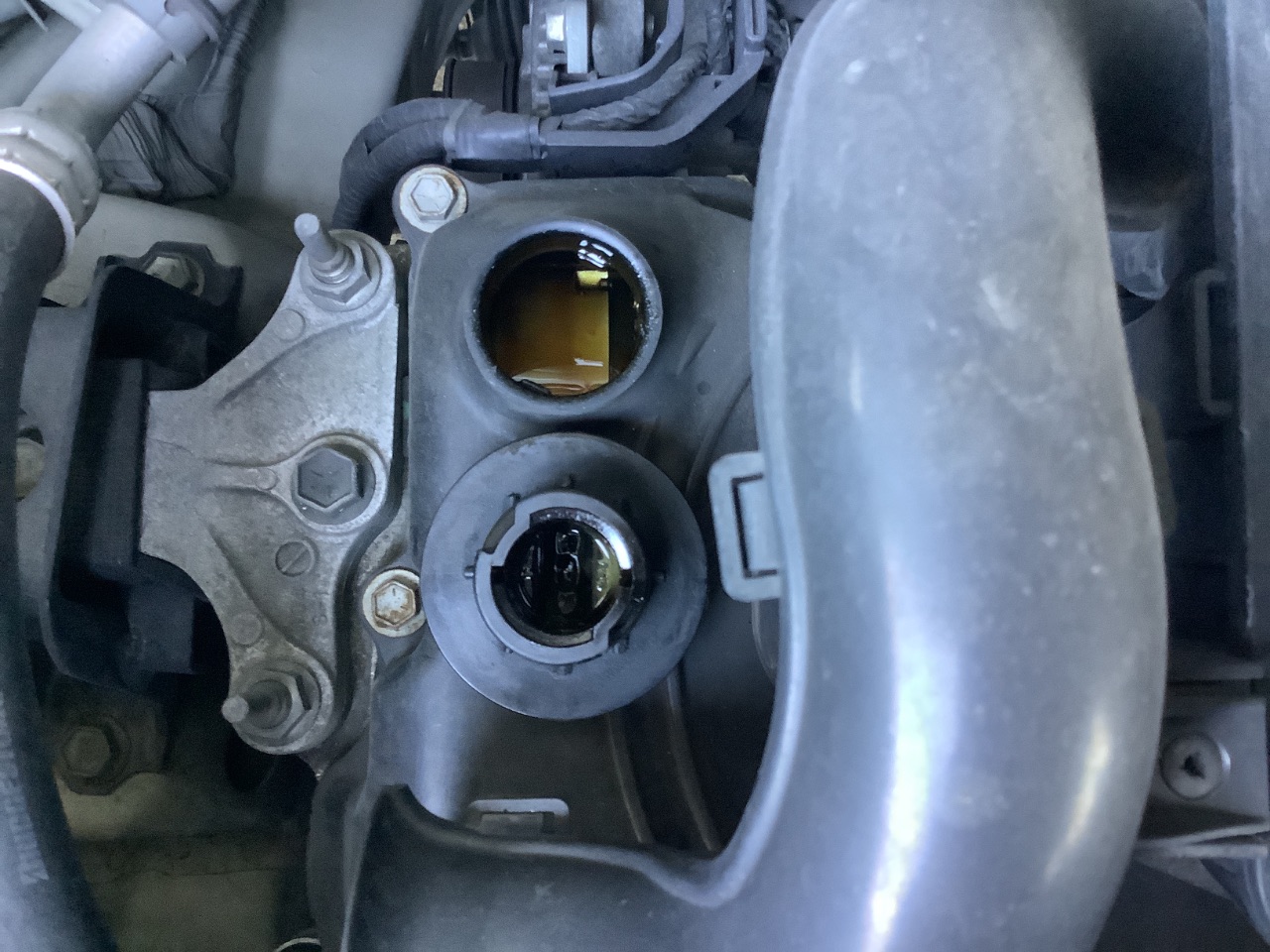 GAPRAS 日産 モコ - 商品詳細 - SP379182