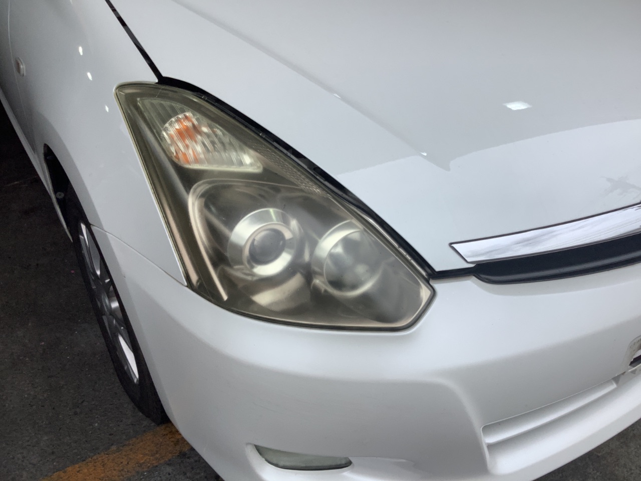 GAPRAS トヨタ ウィッシュ - 商品詳細 - SP379719