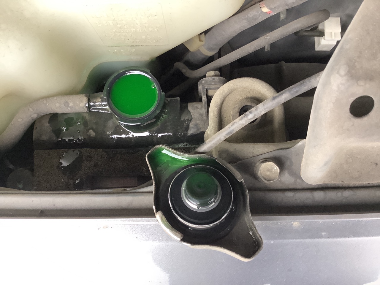 GAPRAS ホンダ バモスホビオ - 商品詳細 - SP380694